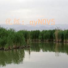 ǱĬ