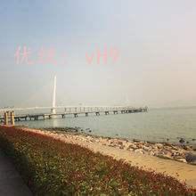 ̬